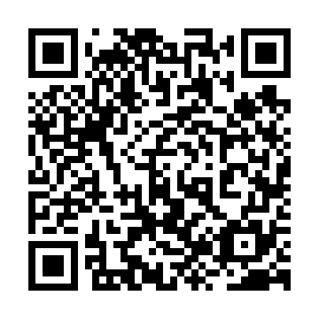 QR code for plate 2Z6 675