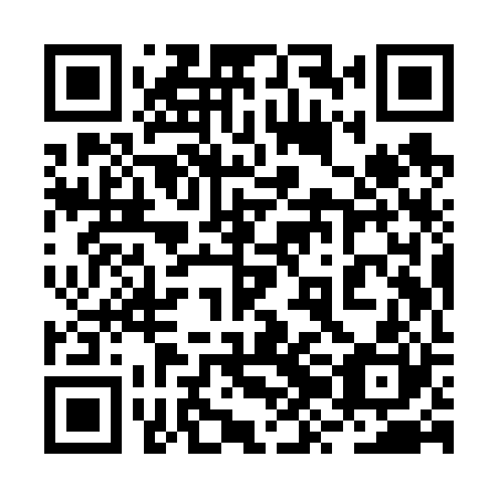 QR code for 2ZI V20