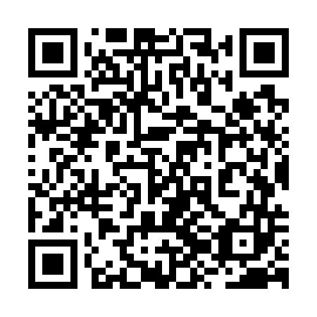 QR code for plate 2ZO W43
