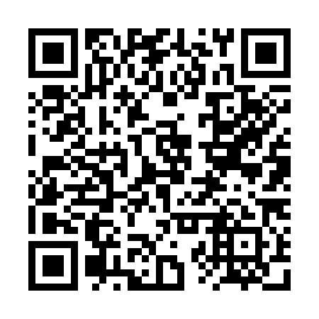 QR code for 2ZV 381
