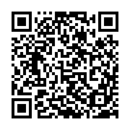 QR code for plate 30B 252