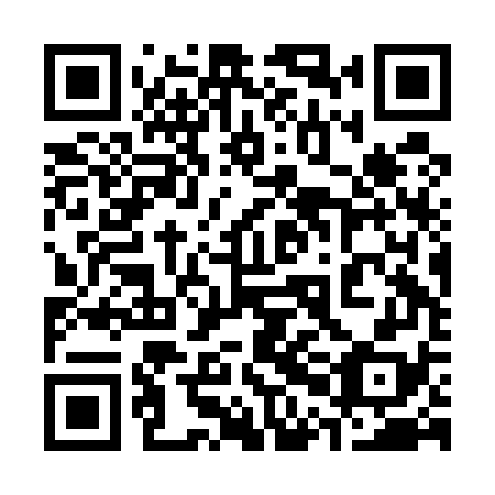 QR code for plate 30B E78