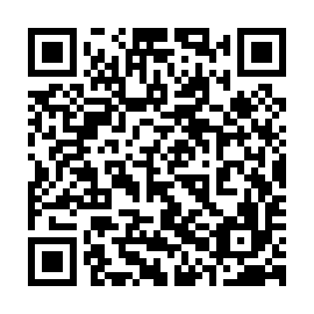 QR code for 30C P96