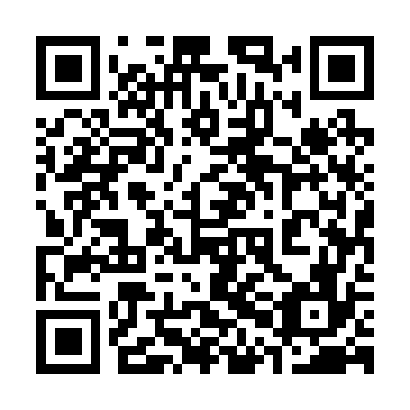 QR code for plate 30E 276