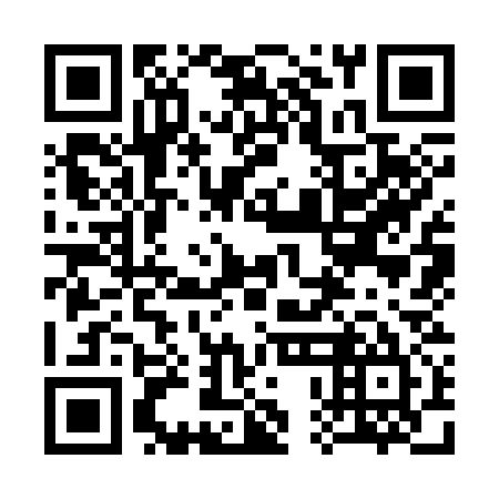 QR code for plate 30K 335