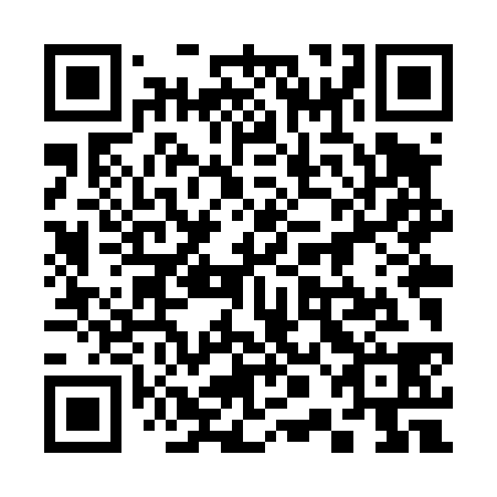 QR code for 30L T38