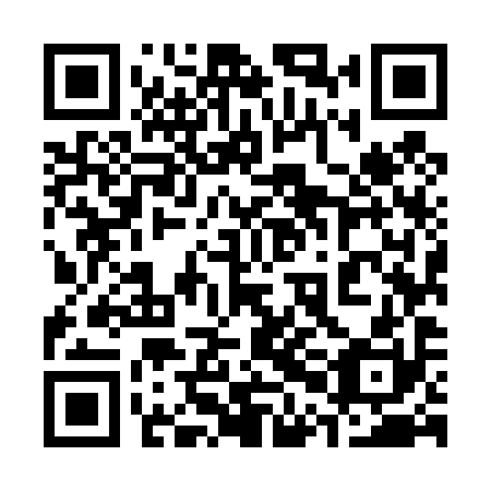 QR code for plate 30M 490