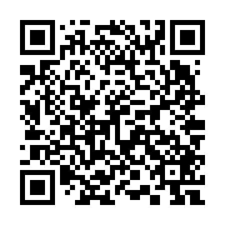 QR code for plate 30N V49