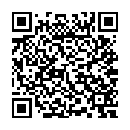 QR code for plate 30N VU3