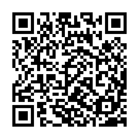 QR code for 30P P95