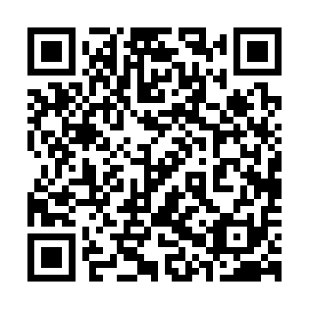QR code for plate 30P 311