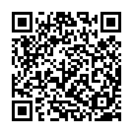 QR code for plate 30P T95