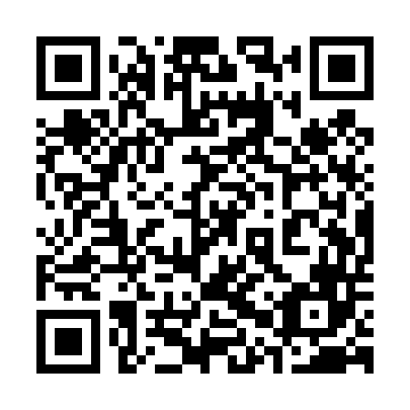 QR code for 30Q T46