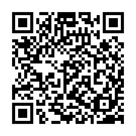 QR code for plate 30Q 190