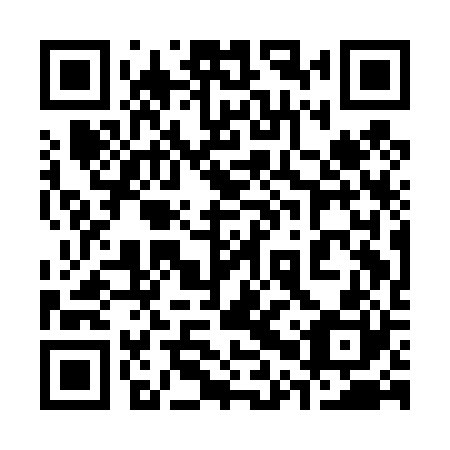 QR code for plate 30Q D20