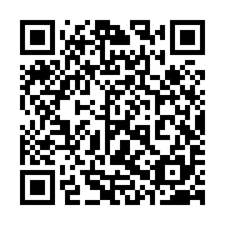 QR code for 30V X95