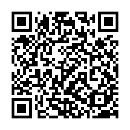QR code for plate 30V O81