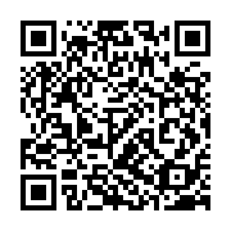 QR code for 30W IQ8