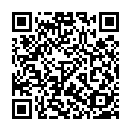QR code for plate 30W E28