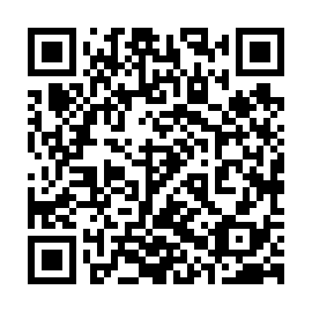 QR code for 30X638