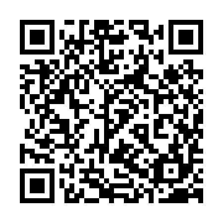 QR code for 30Y 294