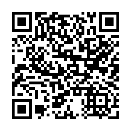 QR code for 30Y 393