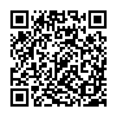 QR code for 30Z 383