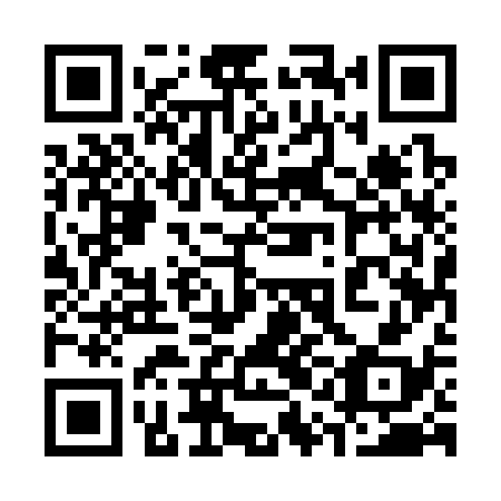 QR code for 31E338