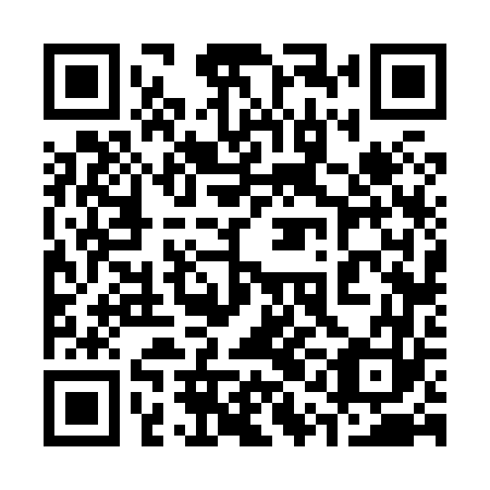 QR code for plate 31F 863