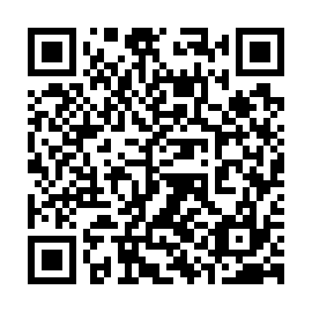 QR code for 31G 737
