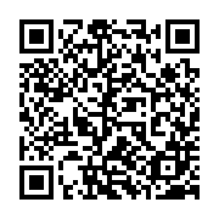 QR code for plate 31G 382