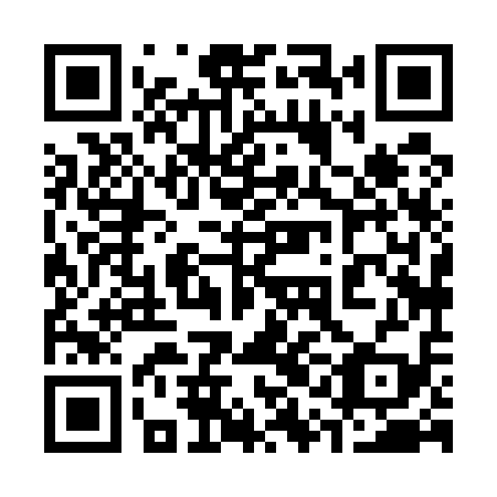 QR code for 31H519