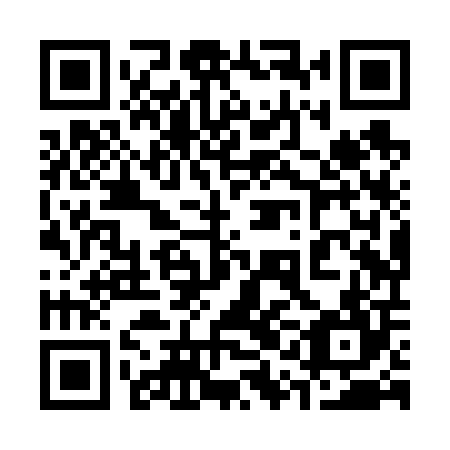 QR code for plate 31H V04