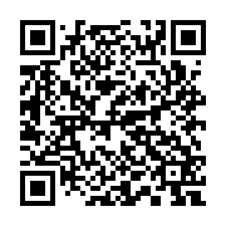 QR code for 31MAV2