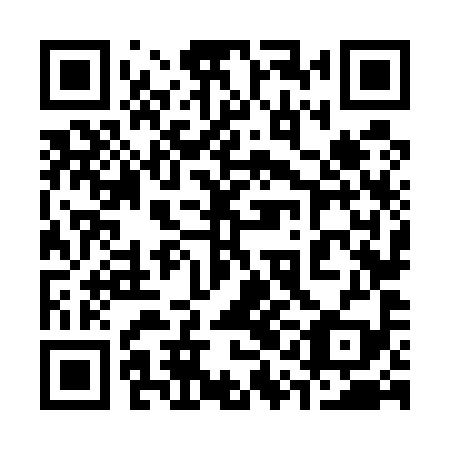 QR code for 31N 599