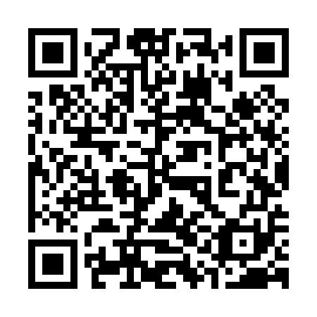 QR code for 31N P51
