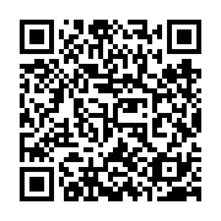 QR code for 31N VS1