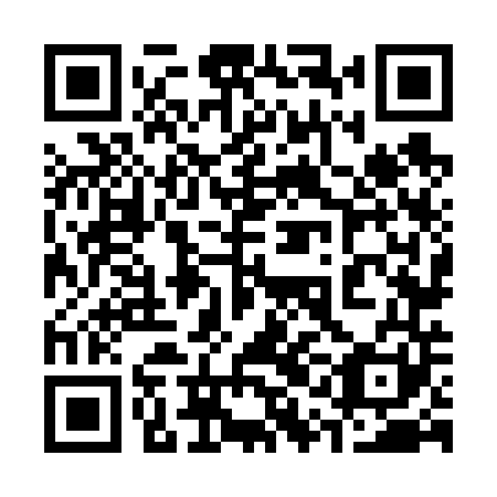 QR code for plate 31N 641