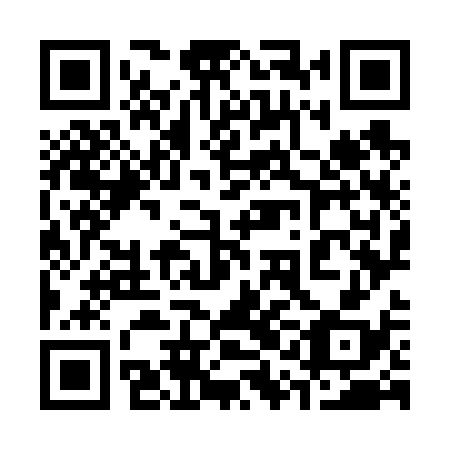 QR code for 31O638