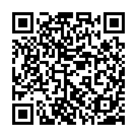 QR code for plate 31Q 311