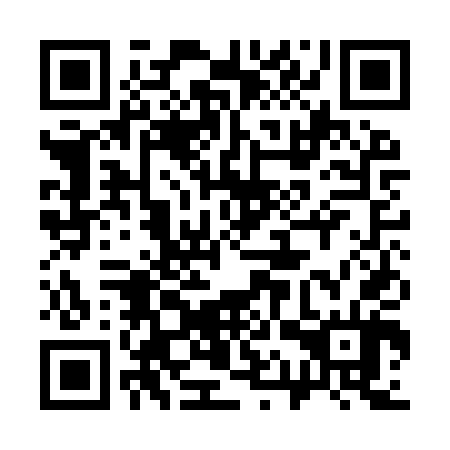 QR code for plate 31Q IT4