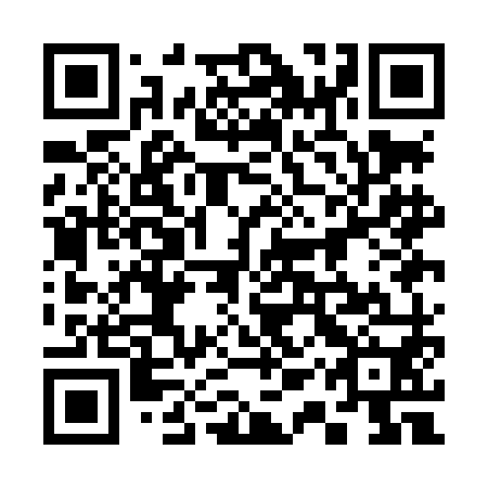QR code for plate 31Q LM0
