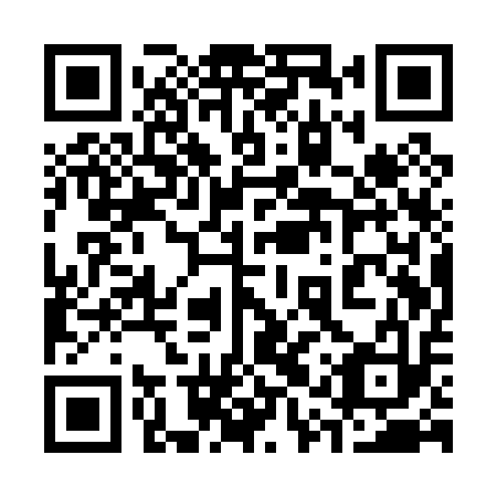 QR code for plate 31Q P13
