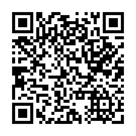 QR code for plate 31R 575