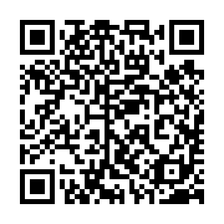 QR code for plate 31R 691