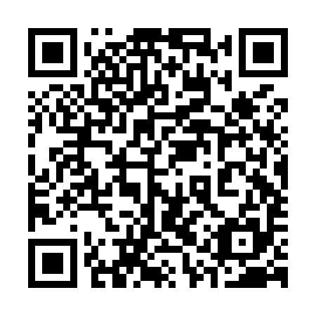 QR code for plate 31R M95