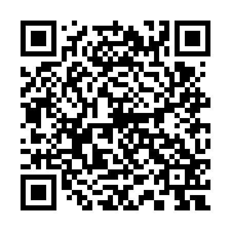 QR code for plate 31S FZ3