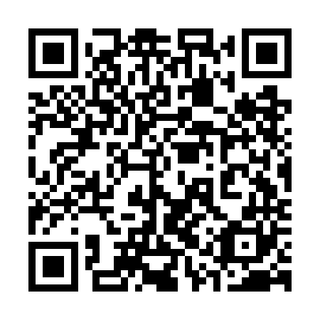 QR code for plate 31S GN0