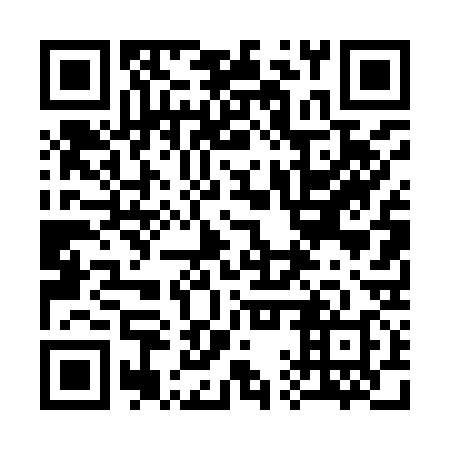 QR code for plate 31T 938