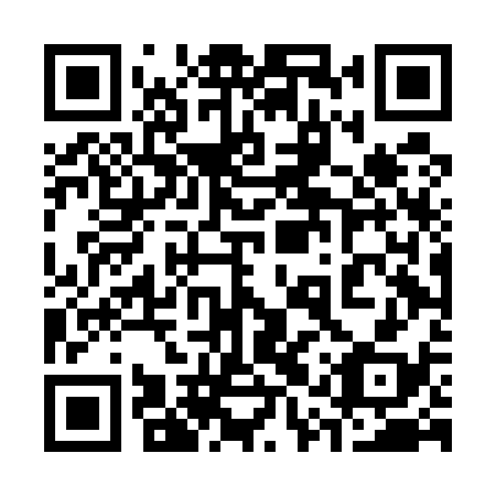 QR code for plate 31T E38
